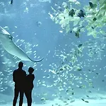 Сasa de vacaciones L'échappée Marine - Souvenirs Au Rythme Des Vagues